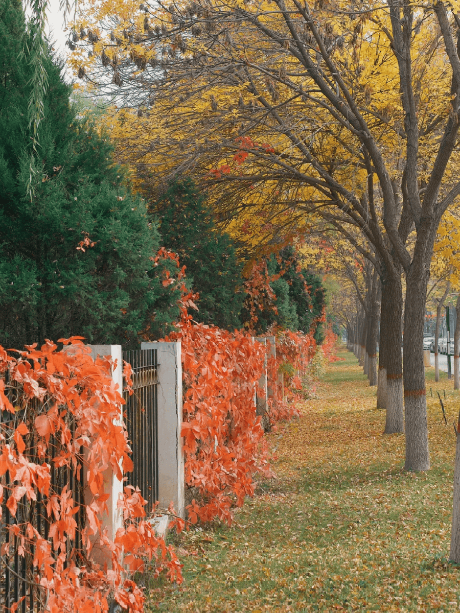 Robert Kozłowski tweet media