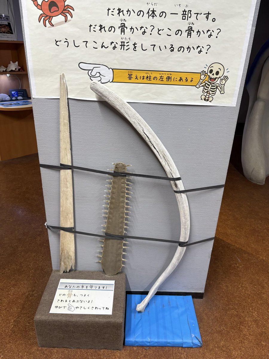 けんちの裏 tweet media