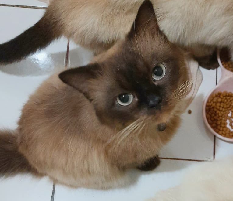 agent june ᵖᵗ²🫧 tweet media