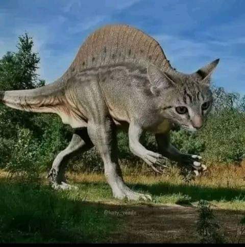 jane ester tweet media