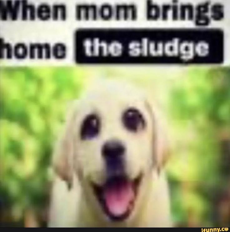 Douglas Anderson tweet media