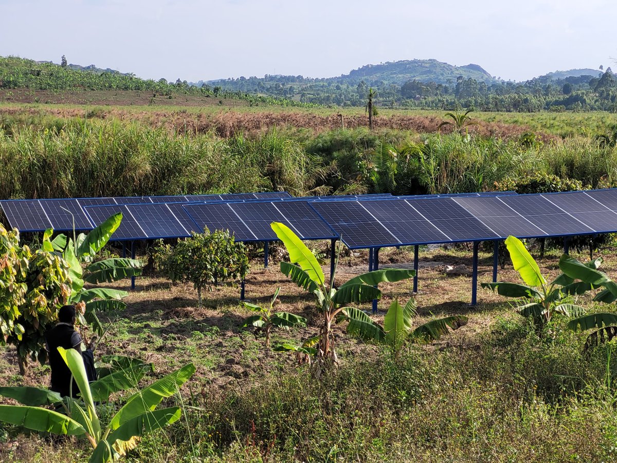 Sprinktech tweet media