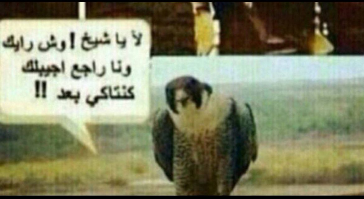 Fair | Meshary✨ tweet media