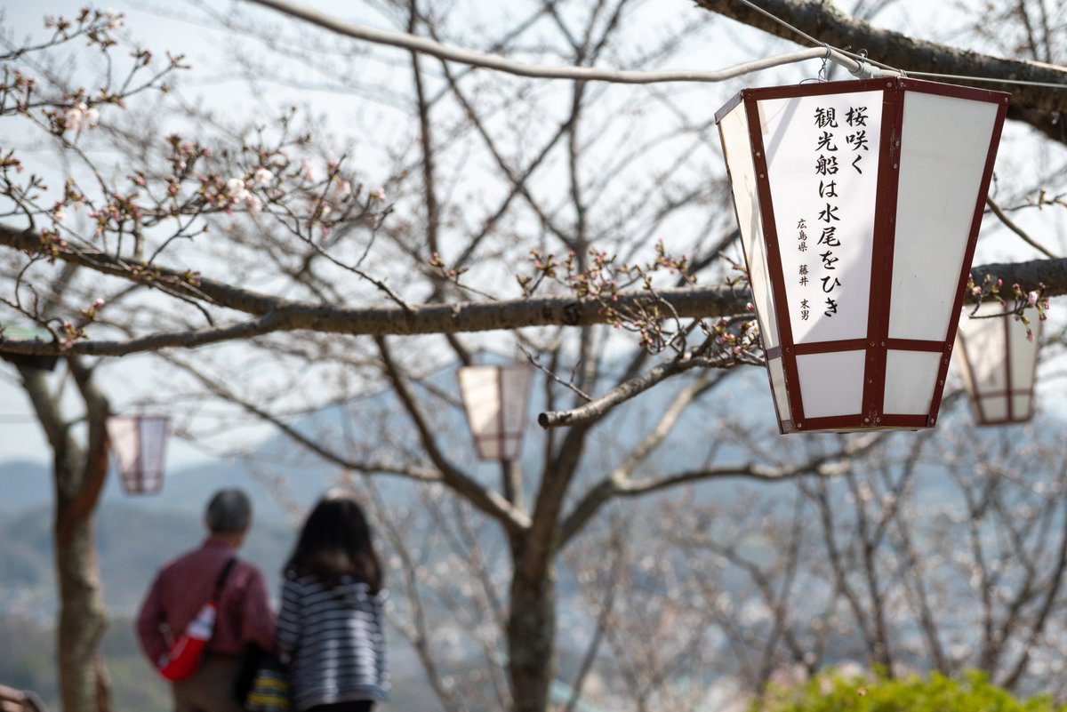 🌸尾道観光協会[おのなび]（広島県） tweet media