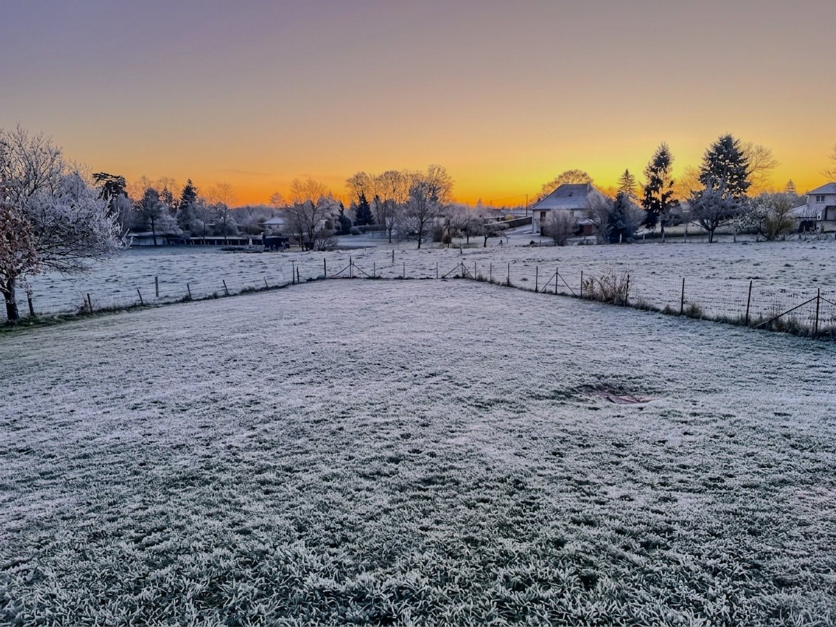 Clément tweet media