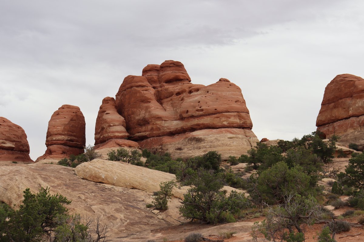 manuelacasasoli's tweet image. From my hikes...

The views on the way to Druid Arch are just stunning.

Utah - 2024

Have a good day!

#hiking #adventures #nature #NatureLovers