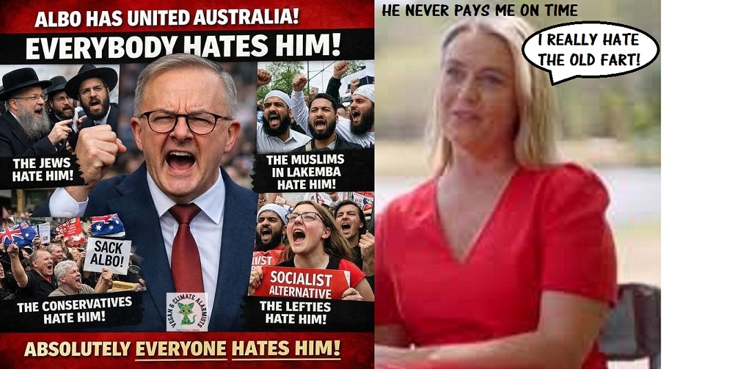 Ted Thorne tweet media