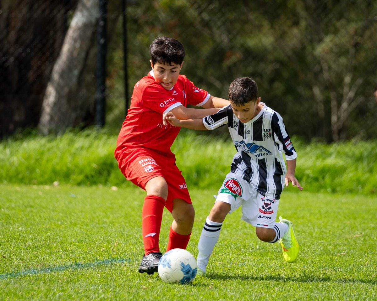 Essendon Royals SC tweet media