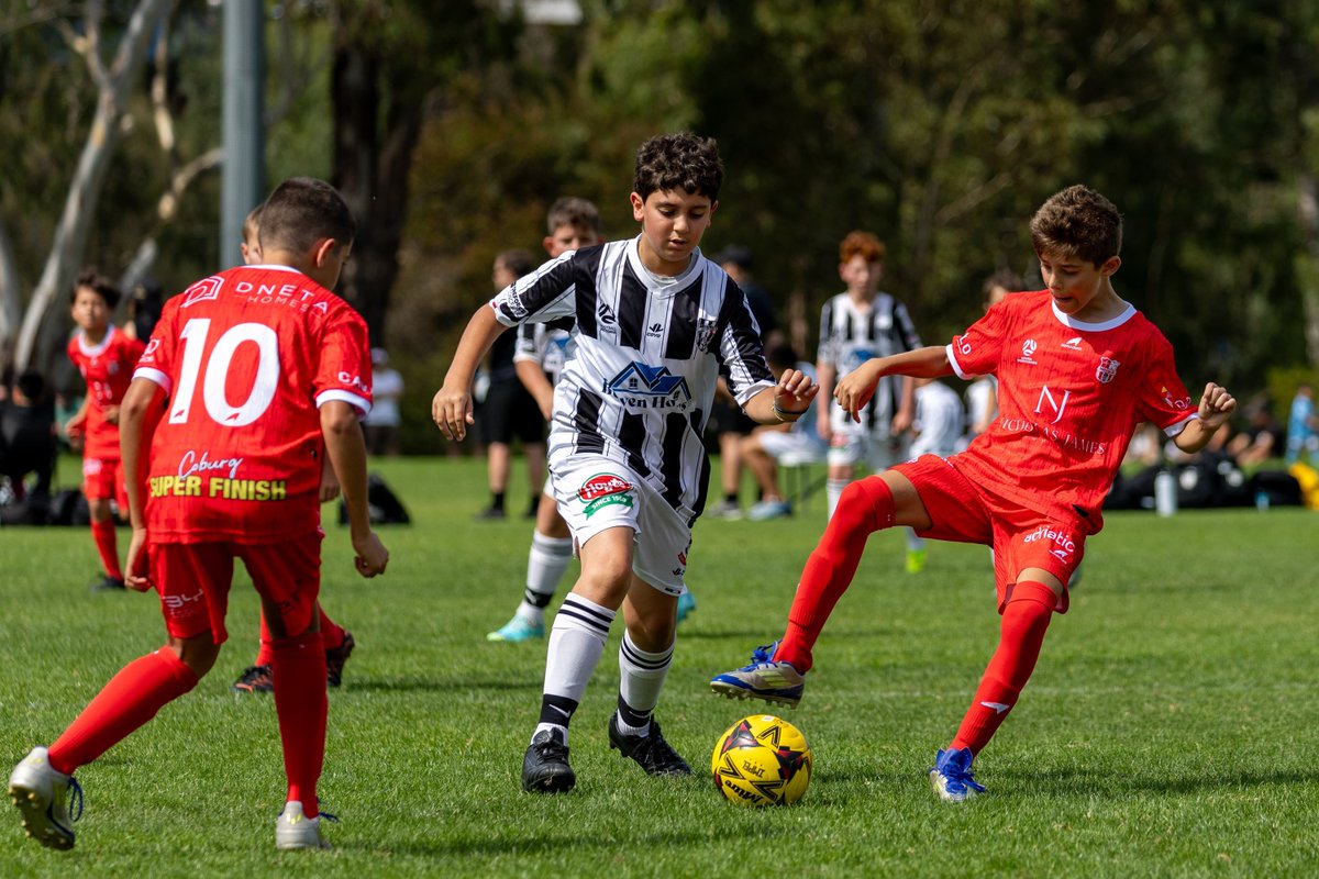 Essendon Royals SC tweet media