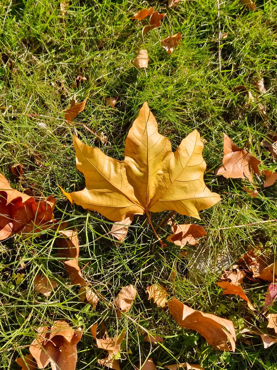 COCOON Hair & Beauty tweet media