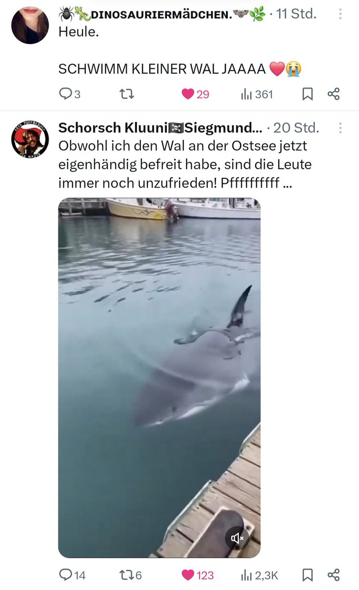 Handwerkskoala Steve🐨📯 tweet media