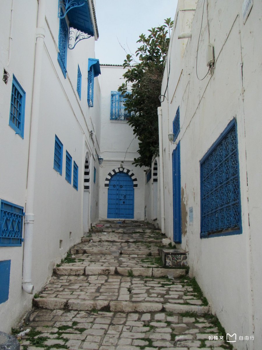 Nelly Ortuste tweet media