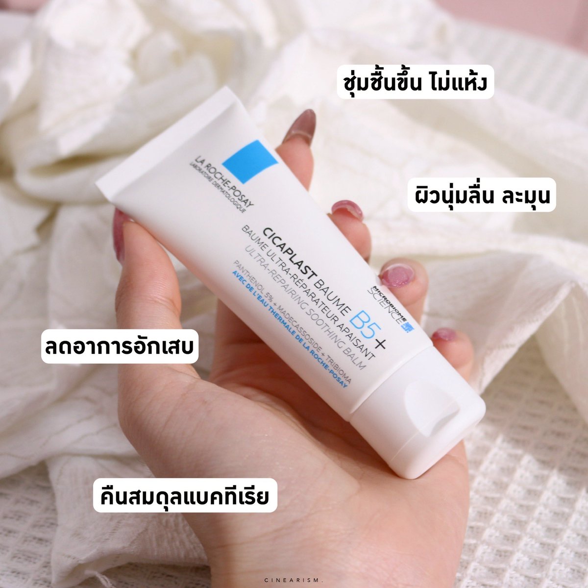 🦄𝐂𝐢𝐧𝐞𝐚𝐫𝐢𝐬𝗺♡︎✨ tweet media