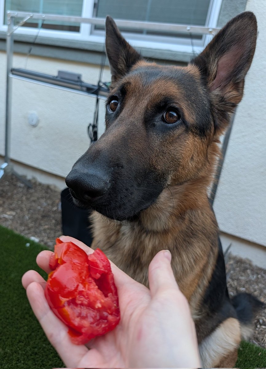 fuchs tweet media
