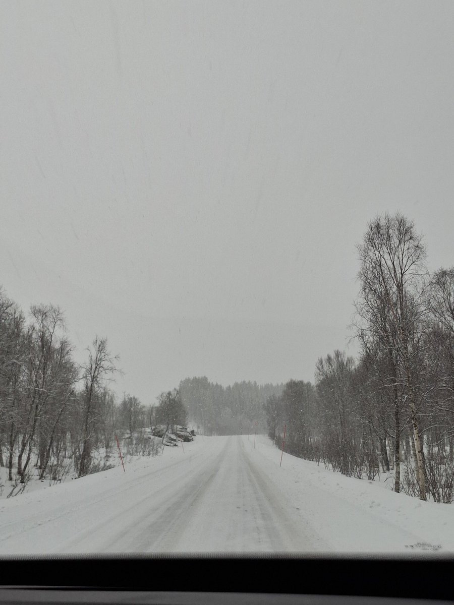 Apollo ☆ sees blue!! tweet media