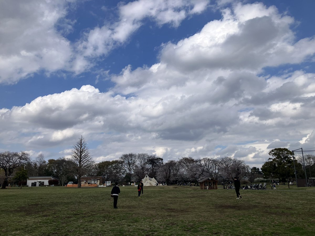 Hitoshi Hasegawa tweet media