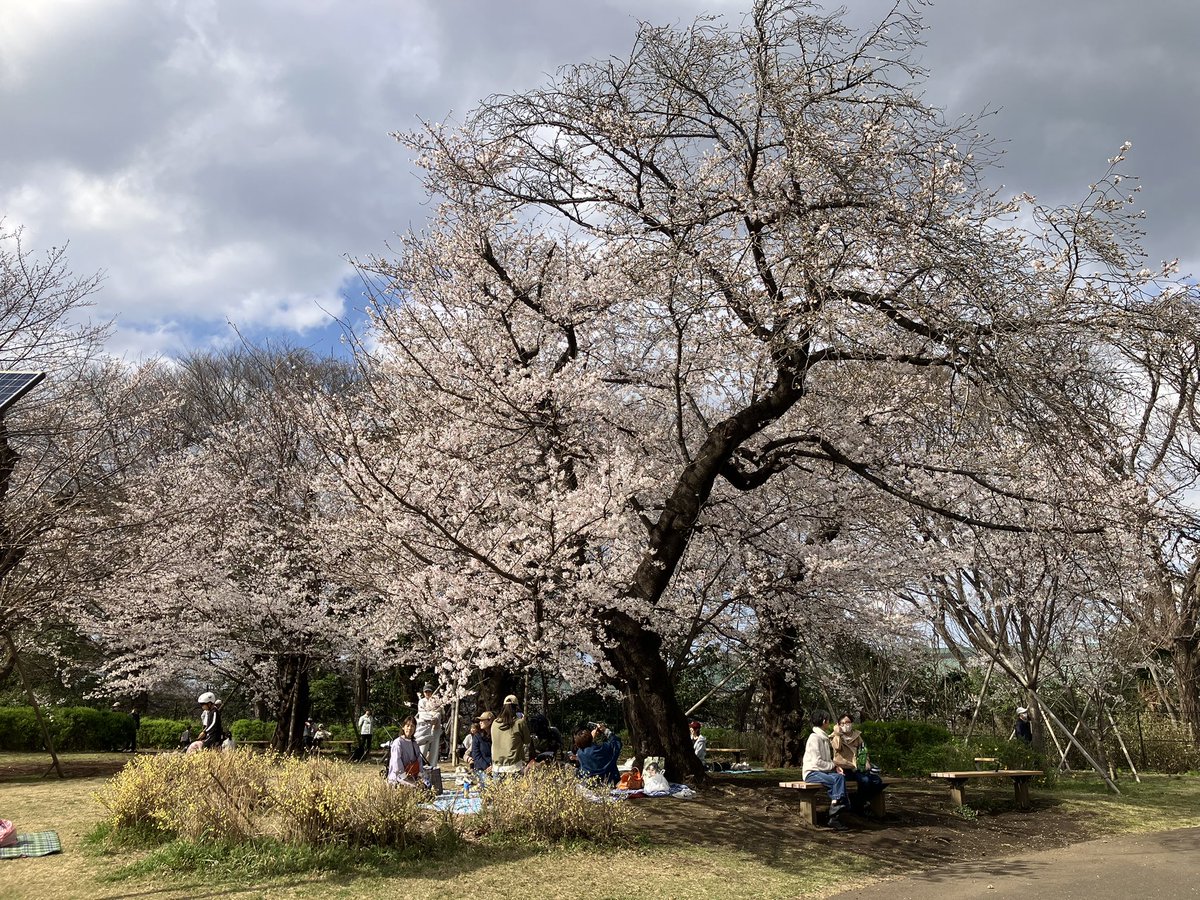 Hitoshi Hasegawa tweet media