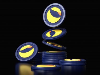 SHIB Mortal tweet media