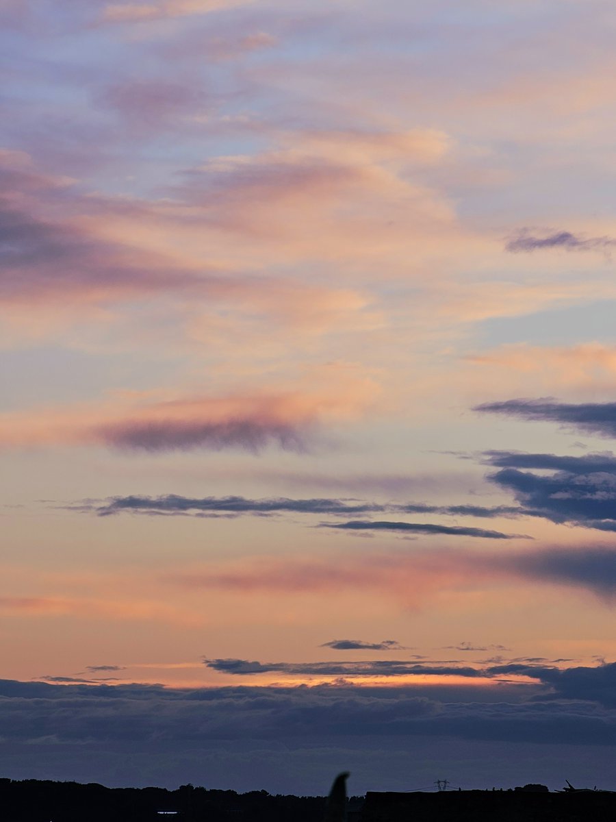 (Tra le nuvole) tweet media