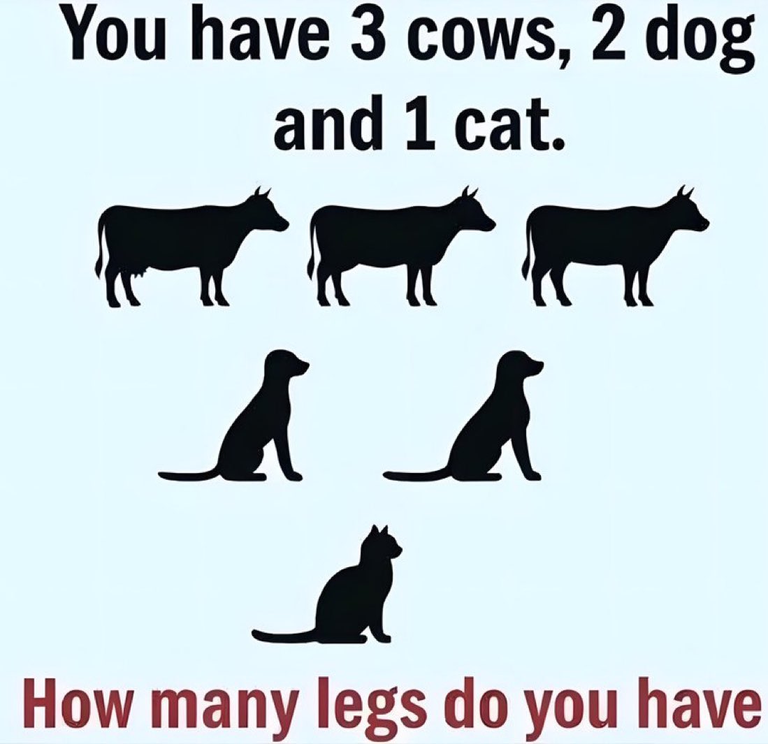 ᴍᴀʏ tweet media