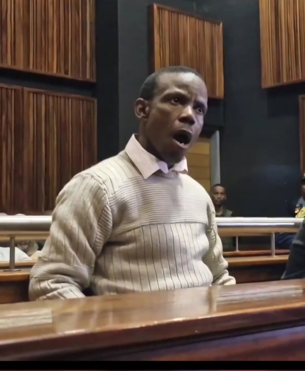 Tulip 🌷 tweet media