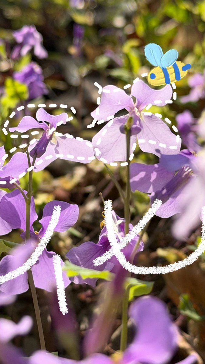 ZJU_China's tweet image. Spring Vibes 🌱🌷🌸🤍🌞

As spring arrives, it’s time to embrace it on the beautiful campus of ZJU—stroll among the blossoms, breathe in the fresh air, and enjoy the peace and relaxation the season brings.

Photos: 浙大ZIBS
#ZJU #ZJUcampus #Springvibe #springiscoming #flowers