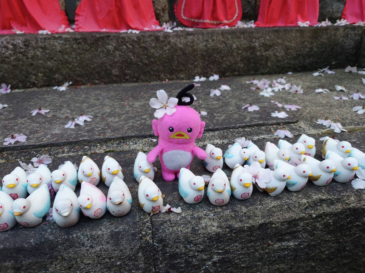 エビシー【公式】 tweet media