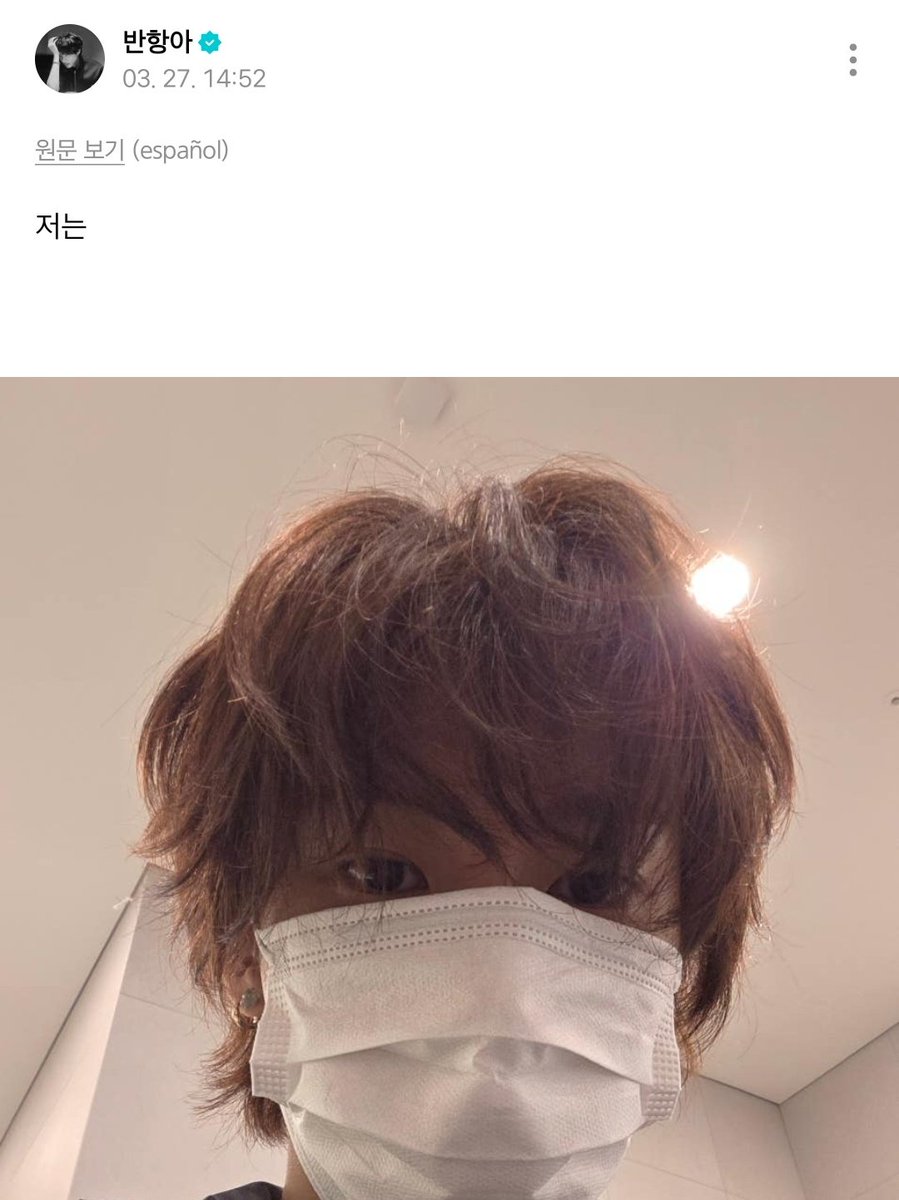 톤넨 아카이브 tweet media