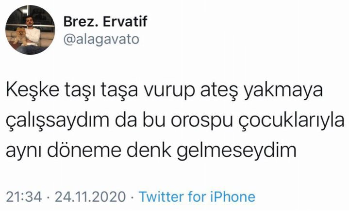 İT KÖPEK A.Ş. (@itkopekas_) on Twitter photo 