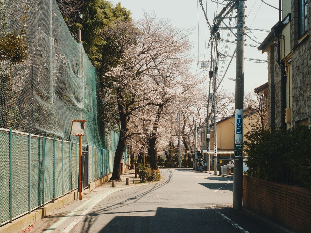 かつこきち tweet media