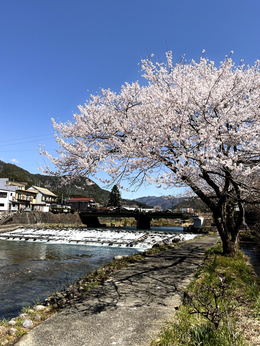 およしちゃん@10th Anniv. tweet media