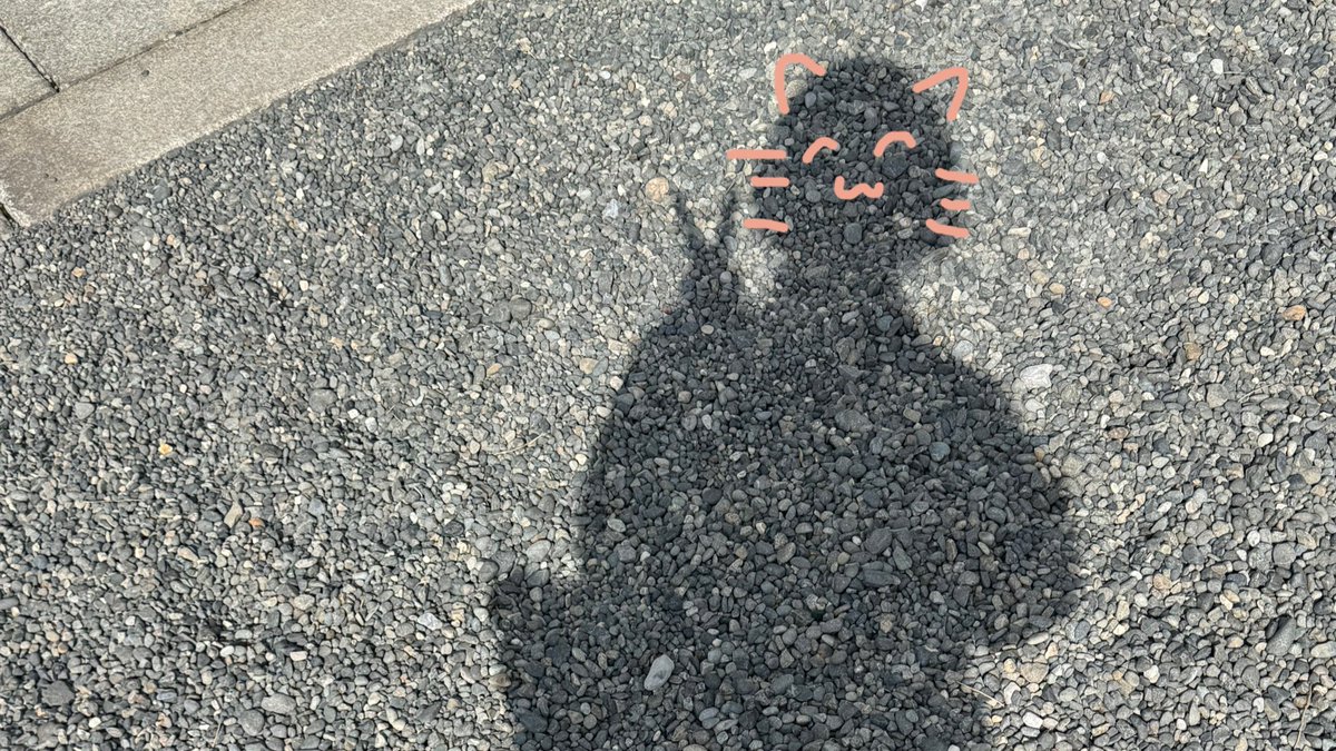 たろーた🐹🍹 tweet media