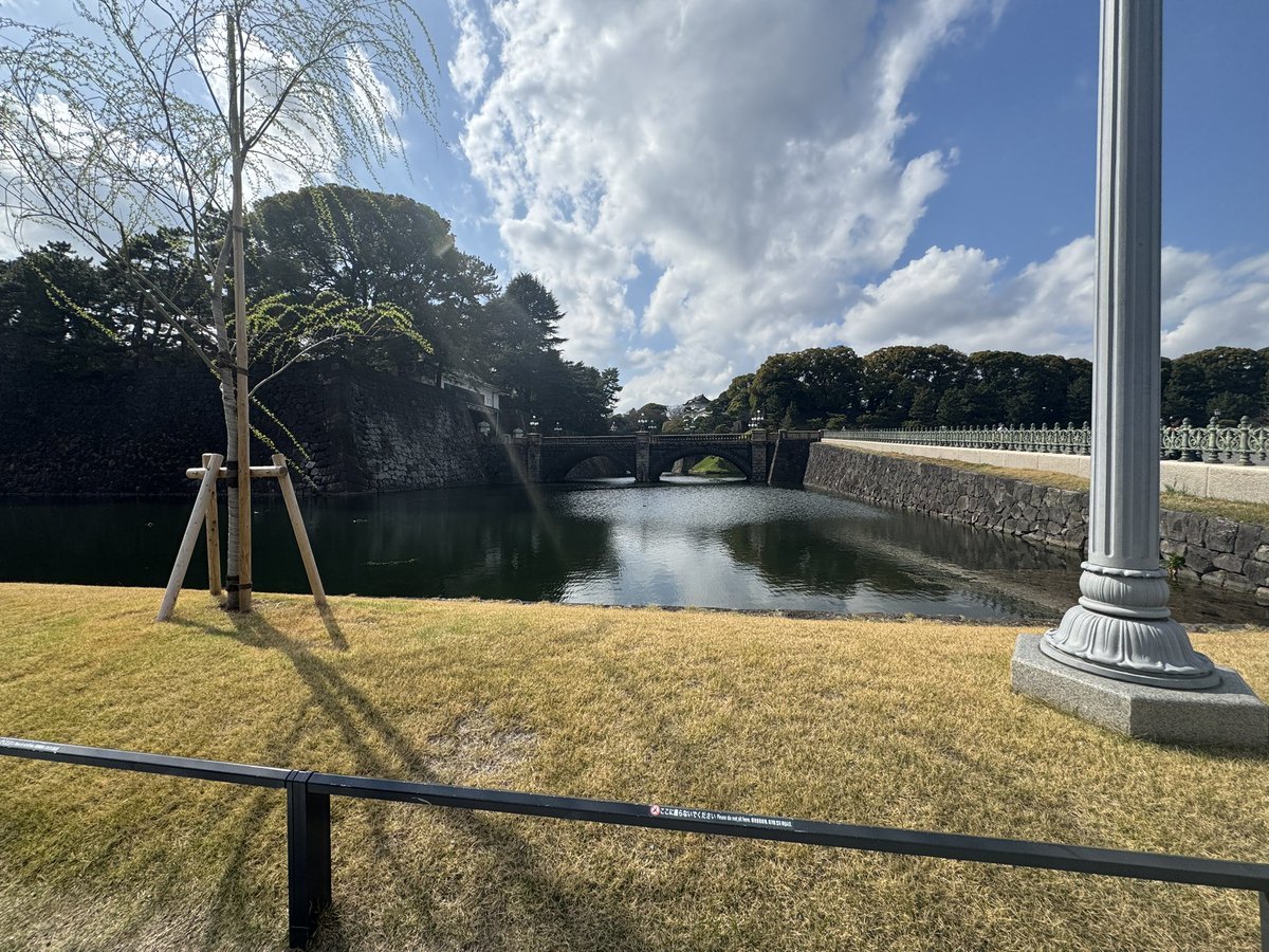 たろーた🐹🍹 tweet media