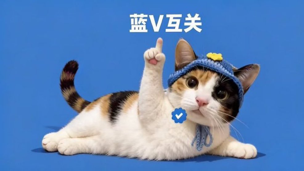 枕星而眠 tweet media