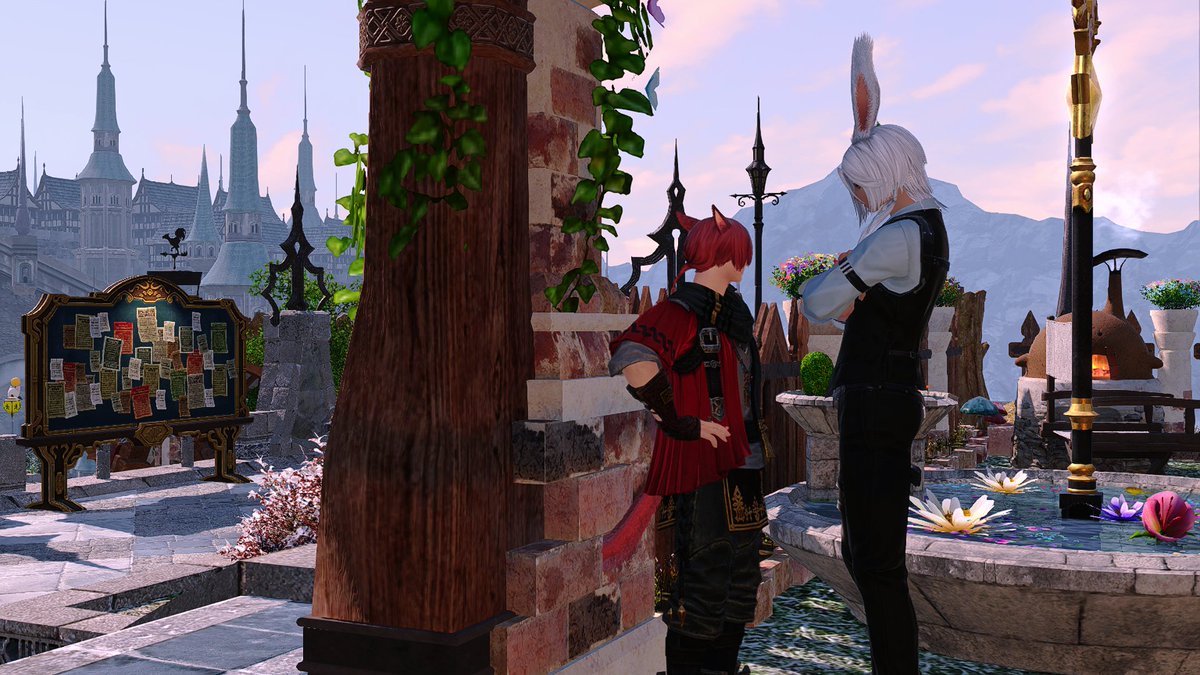 DOHA🐕 7.4 tweet media