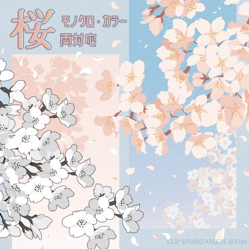 27pttt's tweet photo. #さくらの日 なので桜が手軽に描ける素材を公開しました🌸
色付きのカラーブラシと、色変更できるブラシを両方収録しています。
境界効果でフチをつけるのもおすすめです。#clipstudio

桜のブラシセット
https://t.co/vLzpzaSmco https://t.co/SAwSBcRWqa