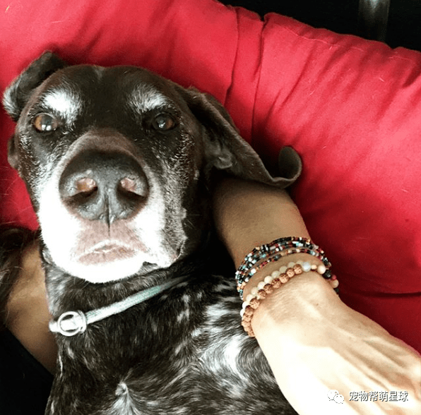 Alexander Meier tweet media