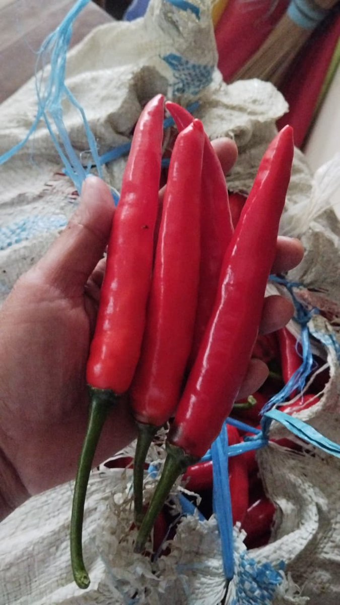 AbU JenaR tweet media