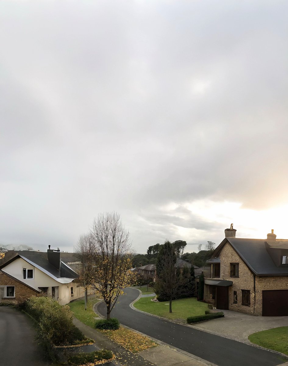 Dee.💜 tweet media