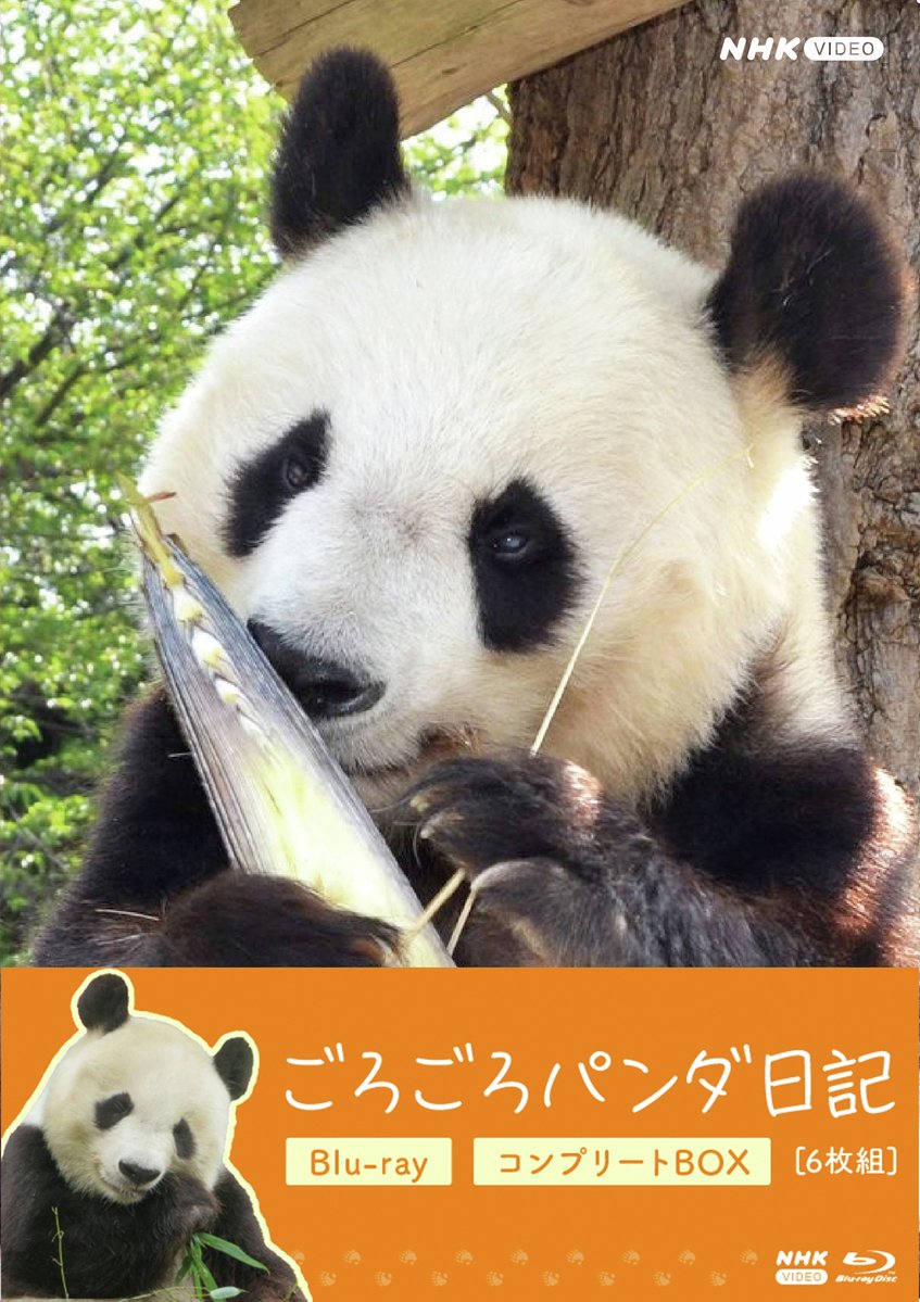 NHK スクエア【公式】 tweet media