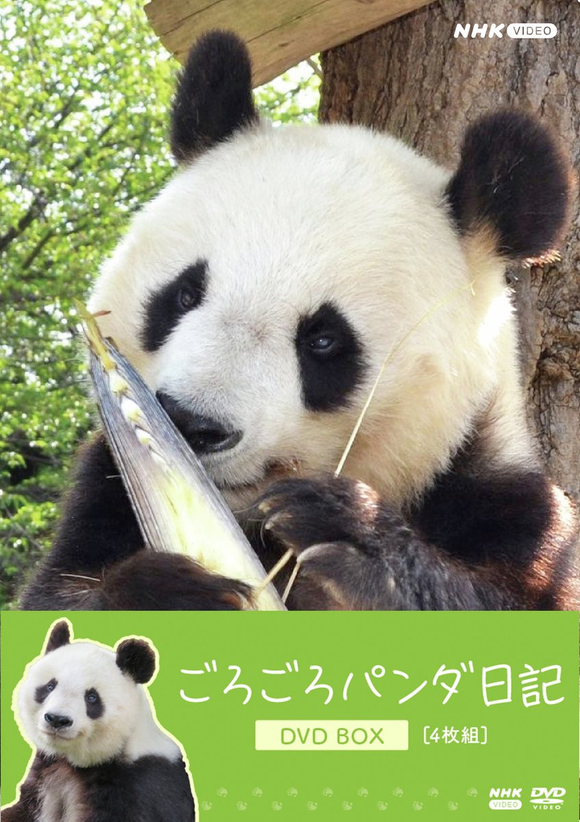 NHK スクエア【公式】 tweet media