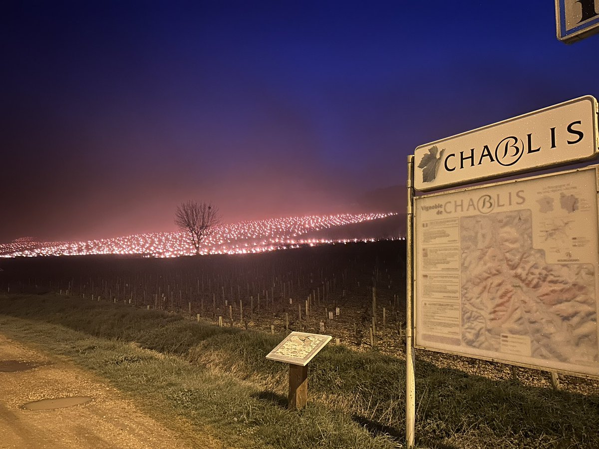 Avec le #gel, de nombreuses bougies antigel ont été allumées sur les cultures du nord et de l'est de la #France la nuit dernière, comme ici dans le vignoble du #Chablis. 
Photos : <a href="/BONNIN1402/">Emmanuel BONNIN</a>