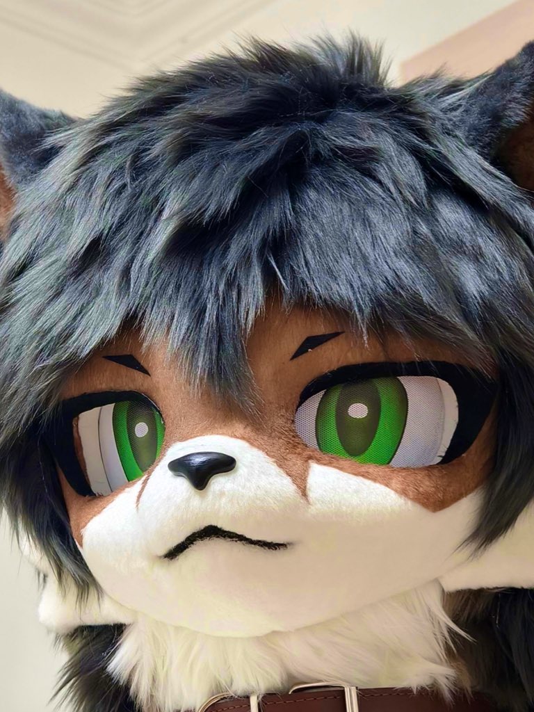 リクト(Rikuto) tweet media