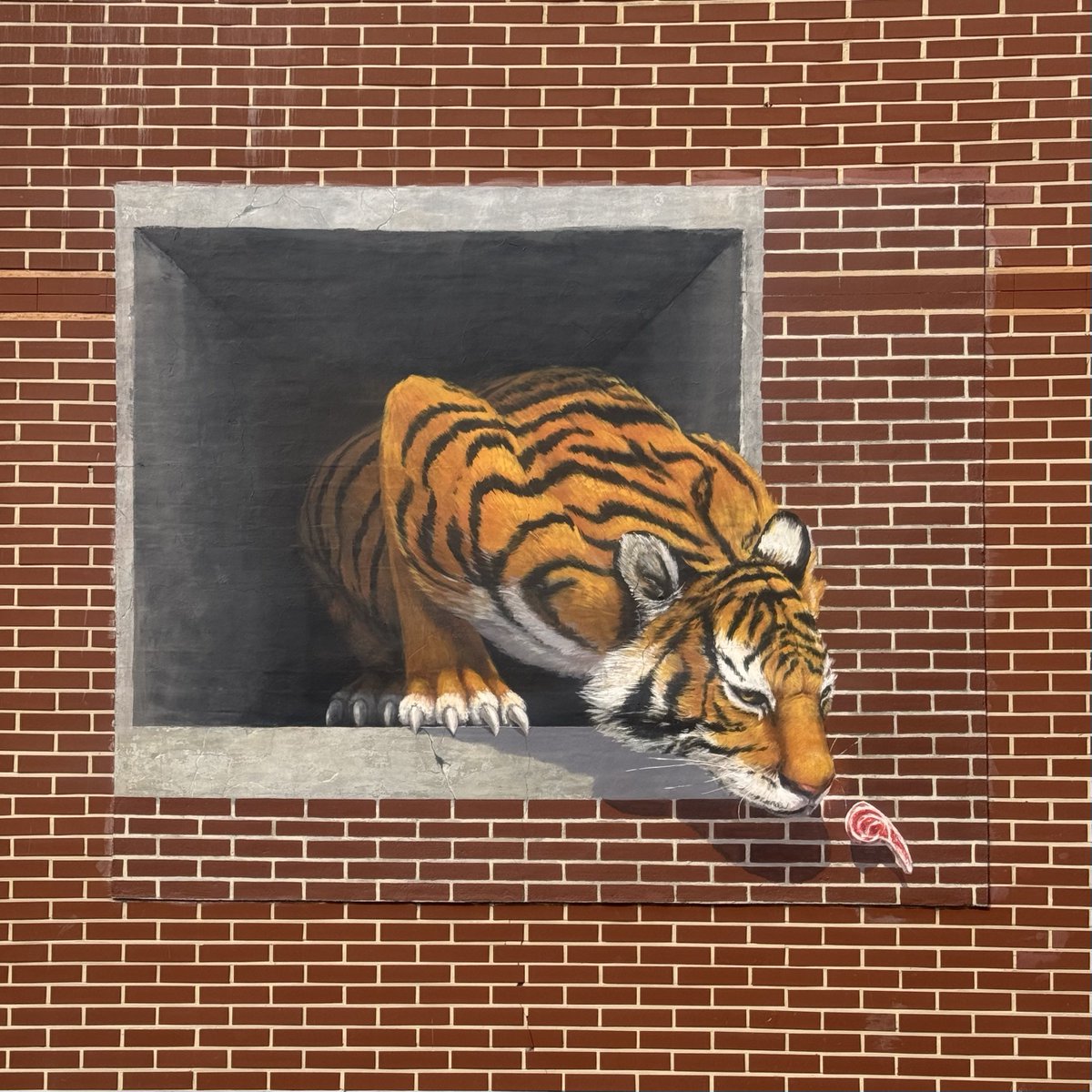 ________✍🏻 tweet media