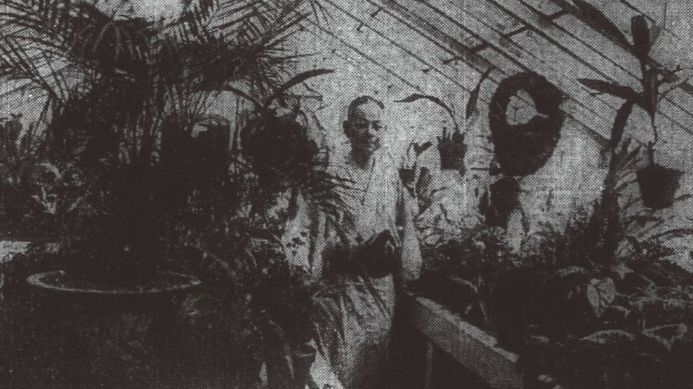 九州大学附属図書館 tweet media