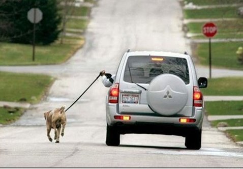 𝖚𝖓𝖆 𝖉𝖆𝖒𝖎𝖙𝖆 (PATRIOTA OFICIAL) tweet media