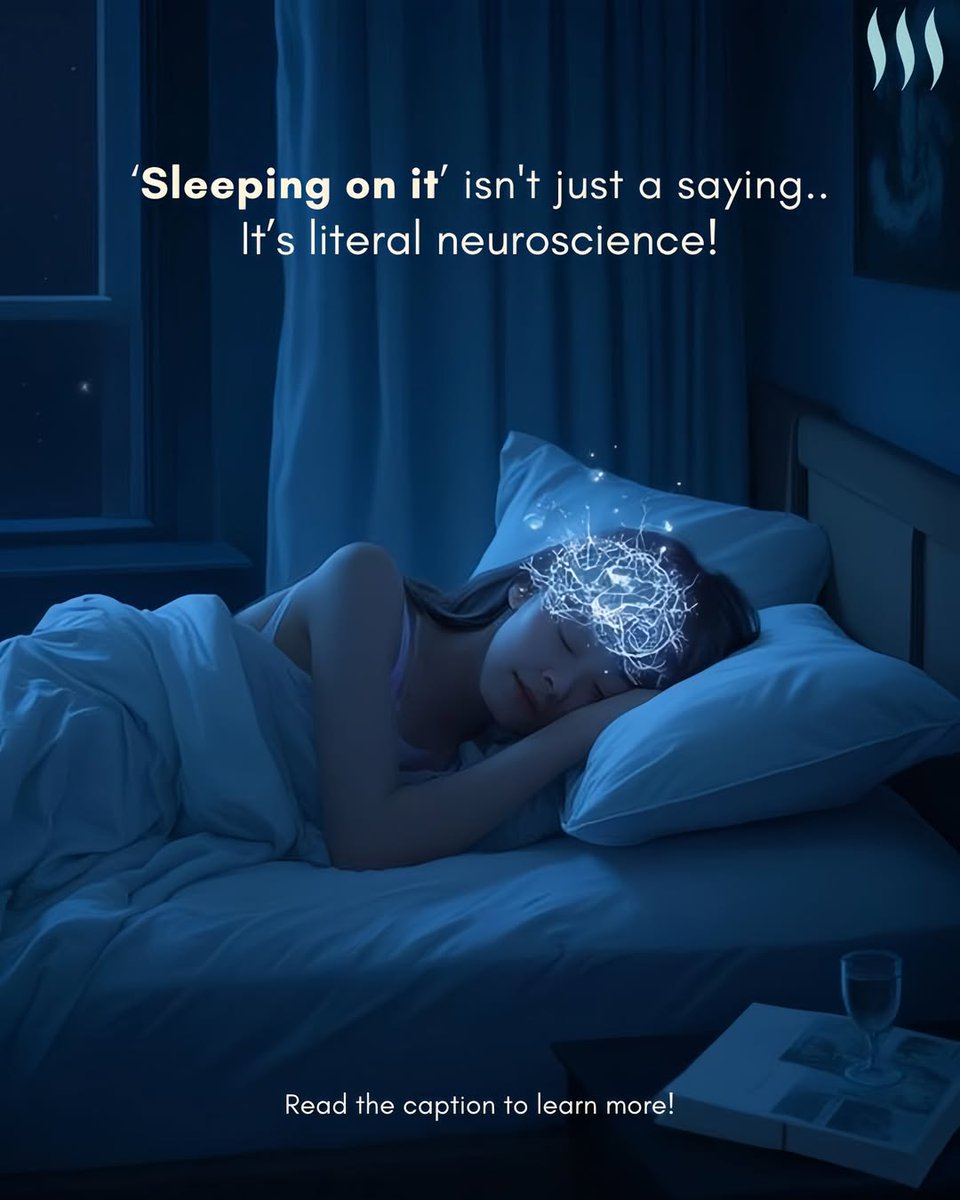 Ever notice how problems feel heavier at 2 AM and lighter by morning?🧠
Your brain processes emotions during sleep—helping you wake up calmer and clearer.
So rest isn’t escape, it’s healing.
Send this to someone who needs a good night’s sleep.

#PsychologyFacts #NeuroScience