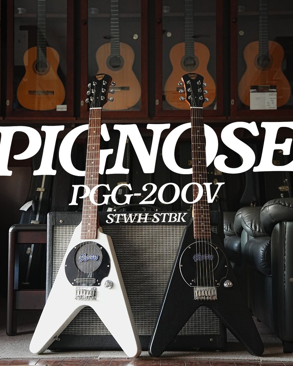 Aria Guitars tweet media