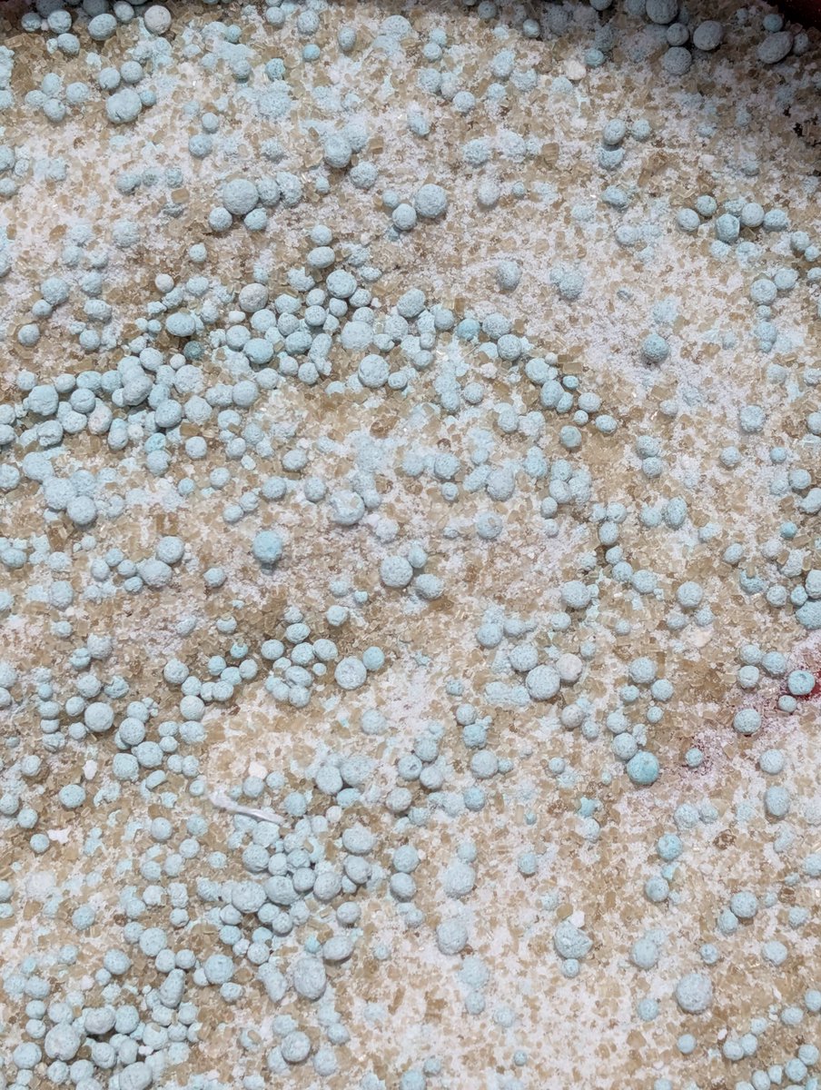 Themkulima tweet media