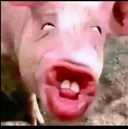 Ashly313# tweet media